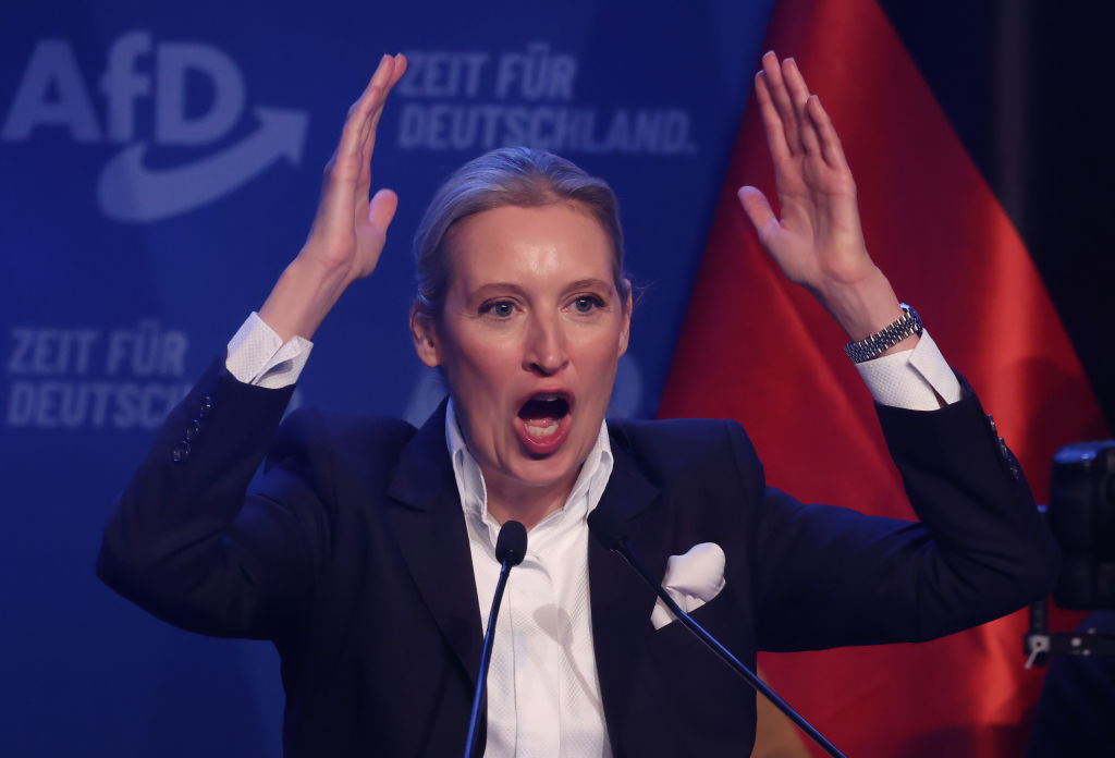 Queerdenkerin Alice Weidel schießt gegen die eigene Partei