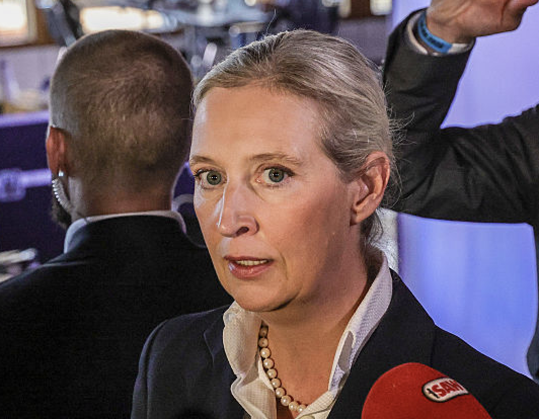 AfD will Meinungsfreiheit einschränken und stellt Strafanzeige gegen Merz