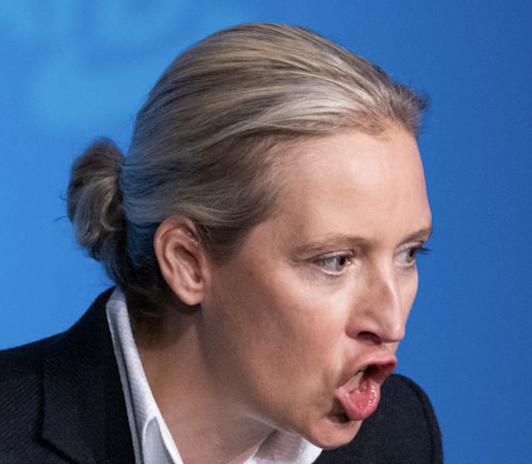 Warum Weidel behauptet, dass Linke Reiche erschießen wollen
